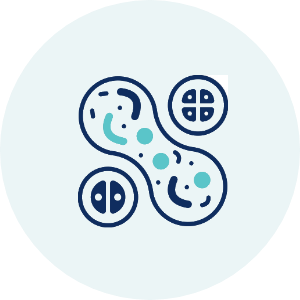Fine Needle Aspiration Cytology